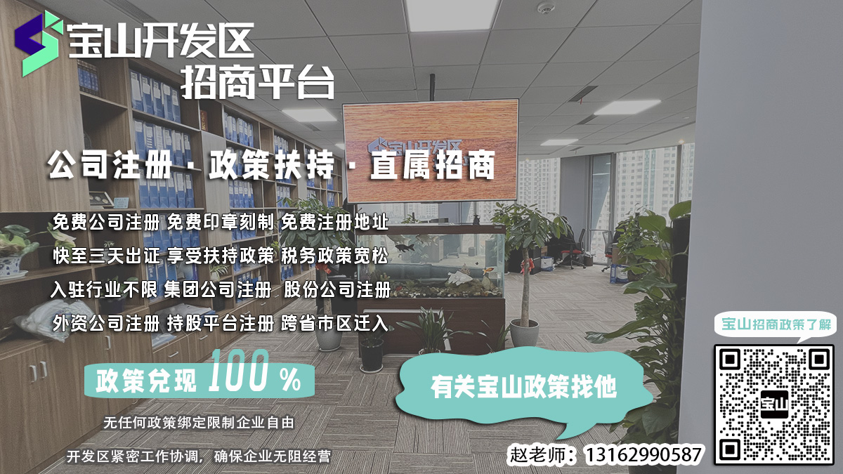 宝山开发区公司章程修订公告单办理过程中遇到问题怎么办？